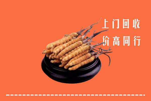 高价求购：康定市回收散虫草